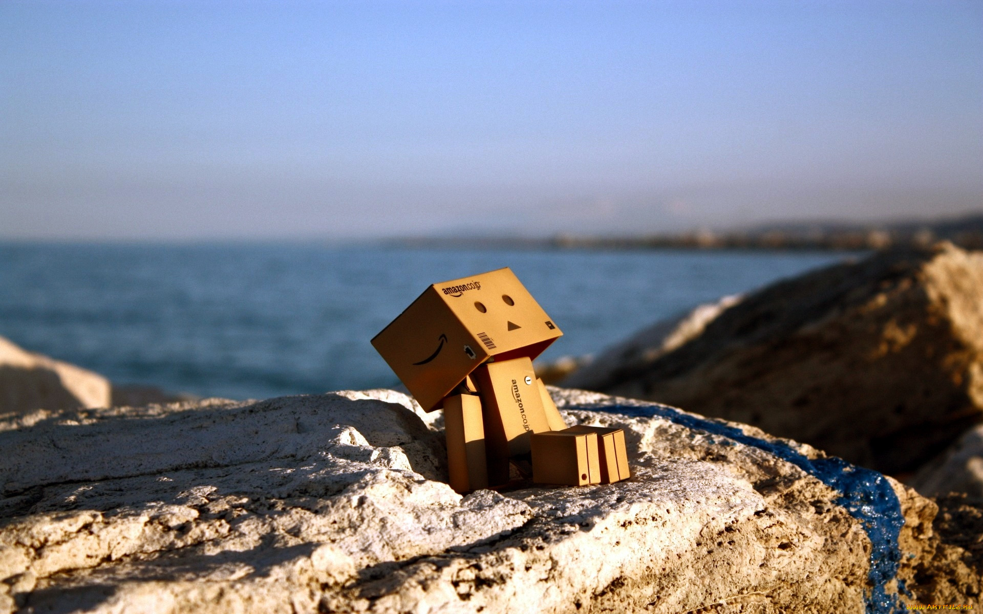 , , danboard, 